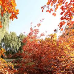 动景+北京十三陵神路