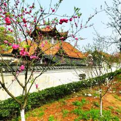 动景+常德桃园县桃花源景区